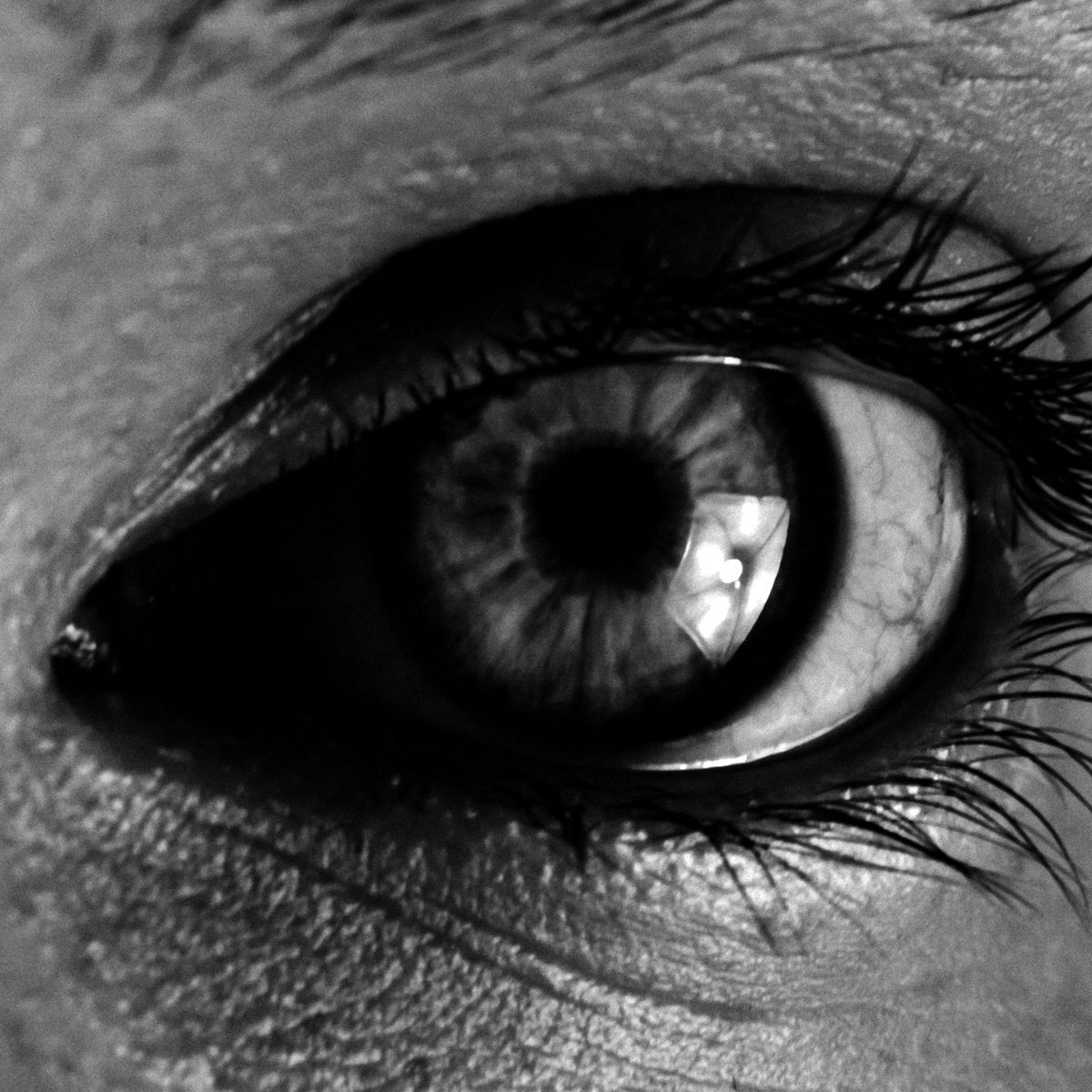 Close-up of a human eye in black and white, lashes and iris catching a single light.